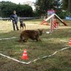 foire-haricots 2011-09-17et18